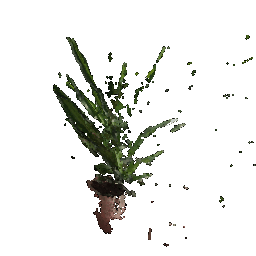 GIF 1